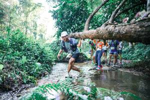 BIB: 
                            <button type="button" onclick="openModal(25444358)" class="btn btn-primary btn-sm float-right btn-popup" data-toggle="modal" data-target=".modal-high-quality">
                        <i class="fas fa-shopping-cart"></i> Add to Cart
                    </button>
                                            <button type="button" onclick="isThisMe(25444358, true)" class="btn btn-success btn-sm float-right btn-popup btn-isme hidden" data-toggle="tooltip" data-placement="bottom" title="นี่คือรูปของคุณใช่ไหม คลิกที่นี่เพื่อเอาเข้าอัลบั้ม">
                        <i class="fas fa-plus"></i> Add to album
                    </button>
                    <button type="button" onclick="isThisMe(25444358, false)" class="btn btn-warning btn-sm float-right btn-popup btn-isnotme hidden">
                        <i class="fas fa-ban"></i> Remove from album
                    </button>